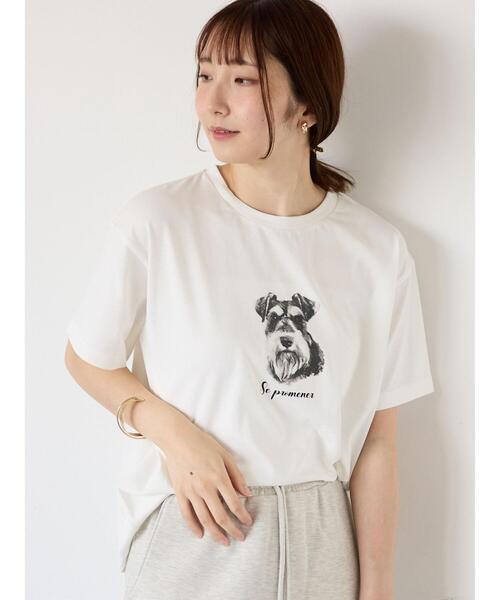 Te chichi TERRASSE(テチチテラス)の「【接触冷感】犬モチーフプリントTシャツ(Tシャツ/カットソー・レディース・ベージュ/チャコールグレー/オフホワイト・F)」の6枚目の写真