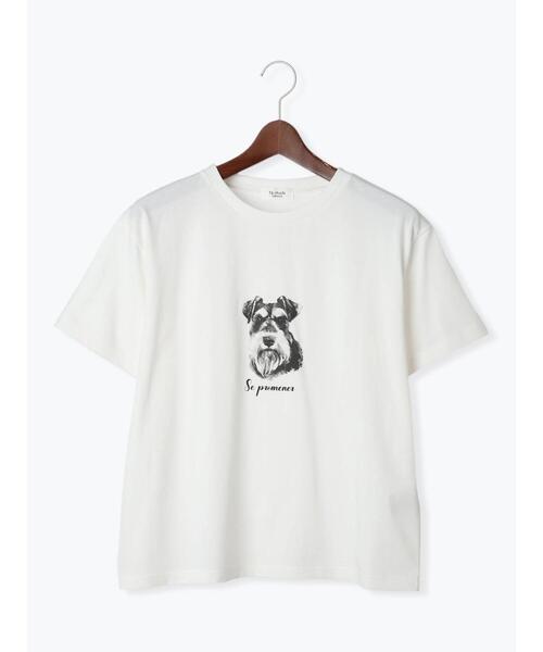 Te chichi TERRASSE(テチチテラス)の「【接触冷感】犬モチーフプリントTシャツ(Tシャツ/カットソー・レディース・ベージュ/チャコールグレー/オフホワイト・F)」の7枚目の写真