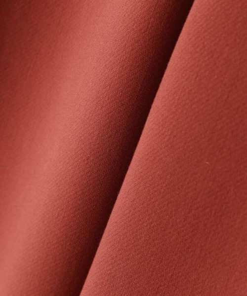 N.（N. Natural Beauty Basic）（エヌエヌナチュラルビューティーベーシック）の「◆ダブルボタンカーブパンツ（その他パンツ・レディース・ブルー/レンガ・MEDIUM）」の18枚目の写真