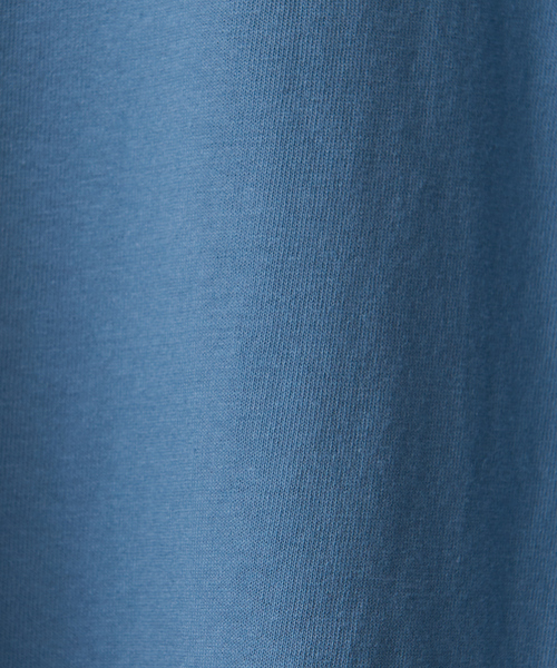 DISCUS ATHLETIC（ディスカス　アスレチック）の「【DISCUS ATHLETIC/ ディスカス アスレチック】USコットン カレッジロゴ Tシャツ（Tシャツ/カットソー・メンズ・ブラック/グリーン/ブルー/ホワイト・M/L）」の20枚目の写真