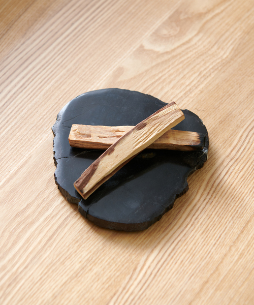 PETRIFIED WOOD PLATE ウッドプレートS（インテリア雑貨