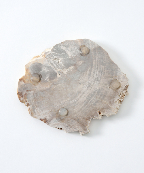 journal standard Furniture （ジャーナルスタンダードファニチャー）の「PETRIFIED WOOD PLATE ウッドプレートS（インテリア雑貨・レディース・B/A・FREE）」の3枚目の写真