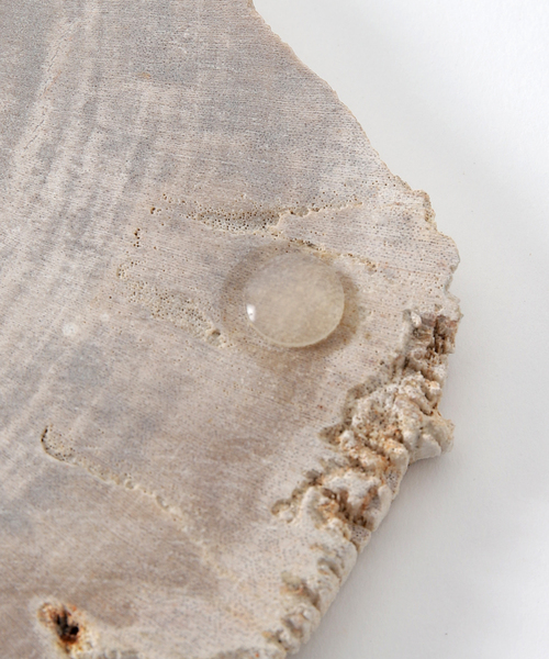 journal standard Furniture （ジャーナルスタンダードファニチャー）の「PETRIFIED WOOD PLATE ウッドプレートS（インテリア雑貨・レディース・B/A・FREE）」の5枚目の写真