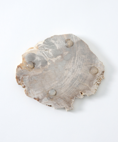 journal standard Furniture （ジャーナルスタンダードファニチャー）の「PETRIFIED WOOD PLATE ウッドプレートS（インテリア雑貨・レディース・B/A・FREE）」の8枚目の写真