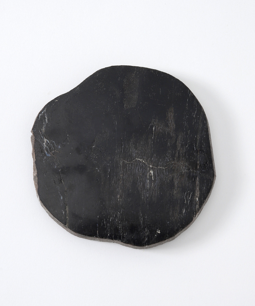 journal standard Furniture （ジャーナルスタンダードファニチャー）の「PETRIFIED WOOD PLATE ウッドプレートS（インテリア雑貨・レディース・B/A・FREE）」の16枚目の写真
