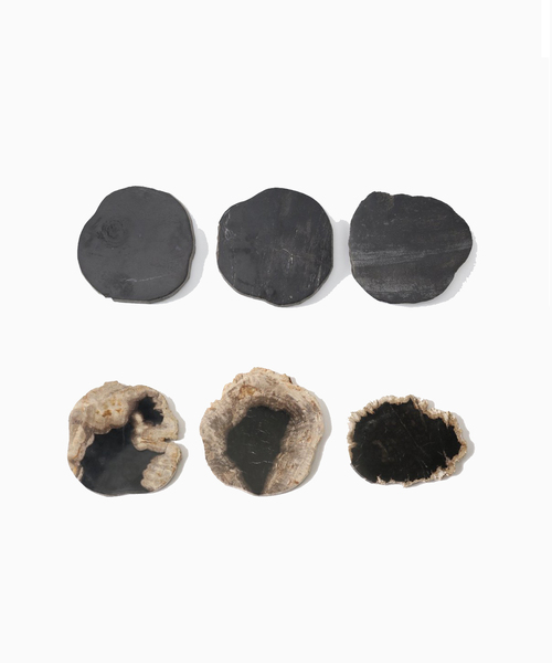 PETRIFIED WOOD PLATE ウッドプレートS（インテリア雑貨
