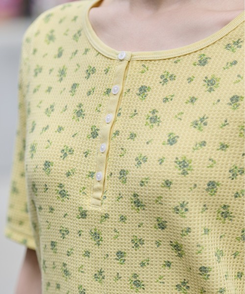 JEMORGAN(ジェーイーモーガン)の「ワッフルフラワー柄 ピグメントハーフスリーブヘンリーT(パック入)(Tシャツ/カットソー・レディース・グレー/グリーン/イエロー/ブルー・FREE)」の8枚目の写真