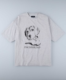 BACK NUMBER | 【BACK NUMBER】アニマルプリントＴシャツ(Tシャツ/カットソー)