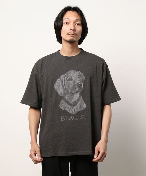 BACK NUMBER(バックナンバー)の「【BACK NUMBER】アニマルプリントTシャツ(Tシャツ/カットソー・メンズ・ライトグレー/ホワイト/ブラック・L/M/XL)」の13枚目の写真