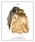 NOMBRE IMPAIR�i�m���u���A���y�[���j�́uNC OX�@�|���`���R�[�g�i�u���]���j�v�b�x�[�W��