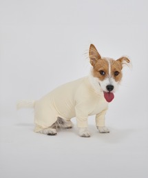 MANDARINE BROTHERS（マンダリンブラザーズ）の「インセクトシールドスキンタイトスーツ/M/MD/L/小型犬（ペットウェア）」