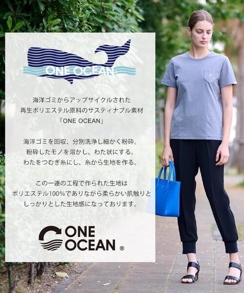 DRESSTERIOR（ドレステリア）の「【洗える/バックプリント】再生ポリエステルホエイルプリントTシャツ（Tシャツ/カットソー・レディース・ブラック/オフホワイト/グレー・34/36/38）」の9枚目の写真