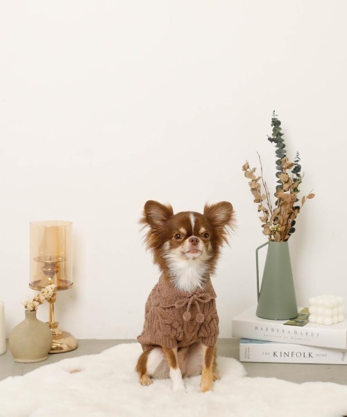 セール】ポンポンリボン襟付きケーブルニットトップス【伸縮性◎・簡単