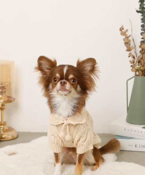 犬服・アクセサリー ponpon セール】ポンポンリボン襟付きケーブルニットトップス【伸縮性◎・簡単