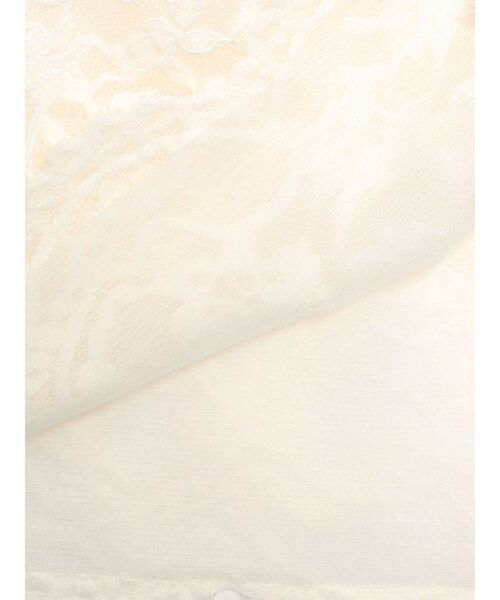 CALNAMUR（カルナムール）の「ピーチレースパットイントップス（Tシャツ/カットソー・レディース・ブラック/オフホワイト/イエロー・FREE）」の21枚目の写真