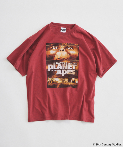 JOURNAL STANDARD relume(ジャーナルスタンダード レリューム)の「PLANET OF THE APES / 猿の惑星 別注 プリント Tシャツ(Tシャツ/カットソー・メンズ・ライトグレー/ワインレッド/ブラック・LARGE/MEDIUM)」の3枚目の写真
