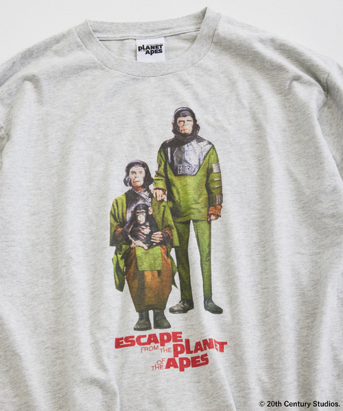 JOURNAL STANDARD relume(ジャーナルスタンダード レリューム)の「PLANET OF THE APES / 猿の惑星 別注 プリント Tシャツ(Tシャツ/カットソー・メンズ・ライトグレー/ワインレッド/ブラック・LARGE/MEDIUM)」の5枚目の写真