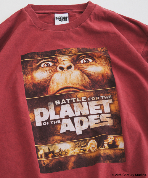 JOURNAL STANDARD relume(ジャーナルスタンダード レリューム)の「PLANET OF THE APES / 猿の惑星 別注 プリント Tシャツ(Tシャツ/カットソー・メンズ・ライトグレー/ワインレッド/ブラック・LARGE/MEDIUM)」の8枚目の写真
