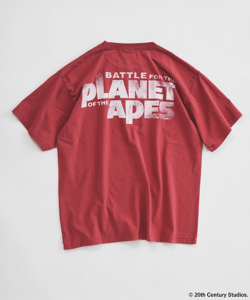 JOURNAL STANDARD relume(ジャーナルスタンダード レリューム)の「PLANET OF THE APES / 猿の惑星 別注 プリント Tシャツ(Tシャツ/カットソー・メンズ・ライトグレー/ワインレッド/ブラック・LARGE/MEDIUM)」の9枚目の写真