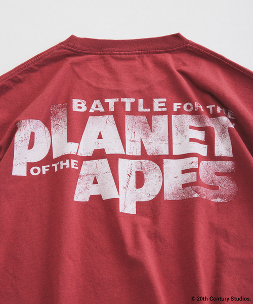 JOURNAL STANDARD relume(ジャーナルスタンダード レリューム)の「PLANET OF THE APES / 猿の惑星 別注 プリント Tシャツ(Tシャツ/カットソー・メンズ・ライトグレー/ワインレッド/ブラック・LARGE/MEDIUM)」の10枚目の写真