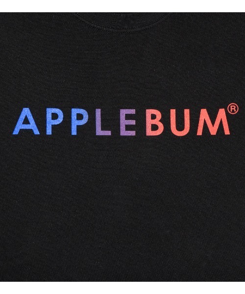 APPLEBUM（アップルバム）の「Gradation Logo T-shirt (Knickerbocker)（Tシャツ/カットソー・メンズ・ホワイト/グレー/ブラック・LARGE/X-LARGE/MEDIUM/XX-LARGE/SMALL）」の12枚目の写真