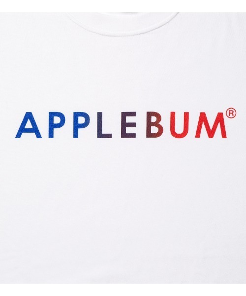 APPLEBUM（アップルバム）の「Gradation Logo T-shirt (Knickerbocker)（Tシャツ/カットソー・メンズ・ホワイト/グレー/ブラック・LARGE/X-LARGE/MEDIUM/XX-LARGE/SMALL）」の5枚目の写真