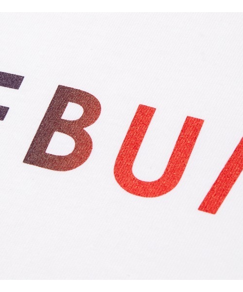 APPLEBUM（アップルバム）の「Gradation Logo T-shirt (Knickerbocker)（Tシャツ/カットソー・メンズ・ホワイト/グレー/ブラック・LARGE/X-LARGE/MEDIUM/XX-LARGE/SMALL）」の7枚目の写真