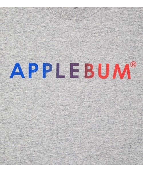 APPLEBUM（アップルバム）の「Gradation Logo T-shirt (Knickerbocker)（Tシャツ/カットソー・メンズ・ホワイト/グレー/ブラック・LARGE/X-LARGE/MEDIUM/XX-LARGE/SMALL）」の19枚目の写真