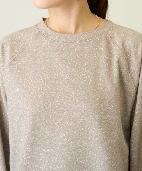 a.v.v（アーヴェヴェ）の「ラメ裏毛スウェットプルオーバー（スウェット・レディース・グレー/ベージュ・38/36/40）」の19枚目の写真