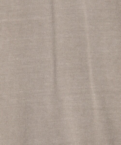 JAMES PERSE(ジェームスパース)の「コットンジャージー ラウンジTシャツ MLJ3311(Tシャツ/カットソー・メンズ・ライトブルー/グレー・1/2)」の12枚目の写真