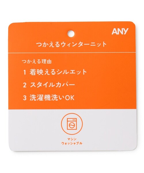 ANY(エニィ)の「ウィンターニット(ニット/セーター・レディース・グレー系/アイボリー系/パイングリーン系/イエロー系・X-LARGE)」の14枚目の写真