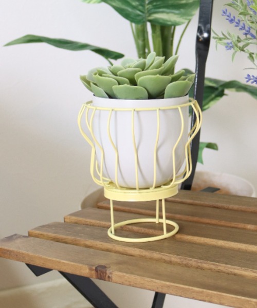 MILLION CARATS(ミリオンカラッツ)の「《neulo》 ワイヤーの抜け感で空間を軽やかに彩る!植物をアートのように楽しむ2WAYミニポット(フォトフレーム・レディース・イエロー/ピンク/ブルー・FREE)」の3枚目の写真
