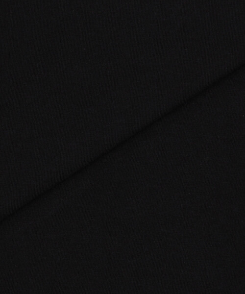 ARC'TERYX（アークテリクス）の「ARC'TERYX/アークテリクス 販路限定 クラッグ コットン リトグラフィカ ショートスリーブ メンズ（Tシャツ/カットソー・メンズ・ホワイト/パープル/オリーブ/ブラック・MEDIUM/X-LARGE/SMALL/LARGE/XX-LARGE）」の14枚目の写真