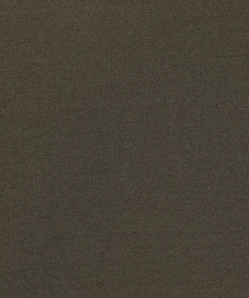 GYMPHLEX(ジムフレックス)の「1906 Gymphlex SPORT WEAR | ストレッチテクノインレイ ハーフジッププルオーバー MEN(ブルゾン・メンズ・ブラック/カーキ・LARGE/MEDIUM)」の22枚目の写真