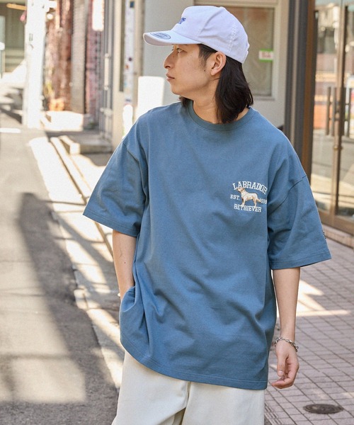 タグ付き✨アパルトモン LABRADOR Vネックプルオーバー Vネックブラウス【半袖】【セットアップ着用可】 (ABL5535-D) | ANCHOR