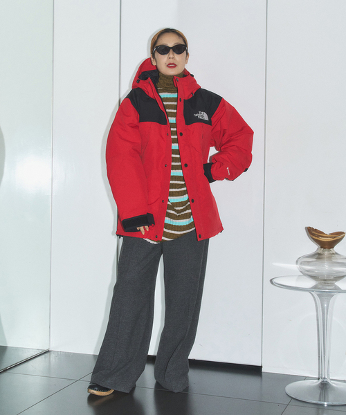 セール】THE NORTH FACE MOUNTAIN DOWN JACKET ND92549：ダウン