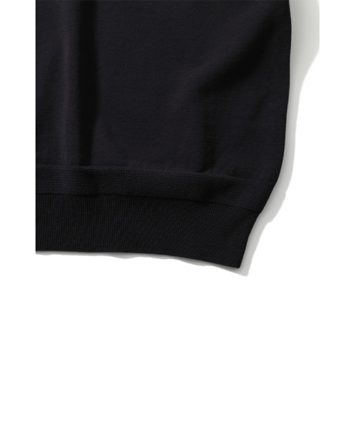 HORLISUN(ホーリーサン)の「Dana Cotton Pullover Collar Knit Ash Black(ポロシャツ・レディース・その他・LARGE/MEDIUM)」の3枚目の写真