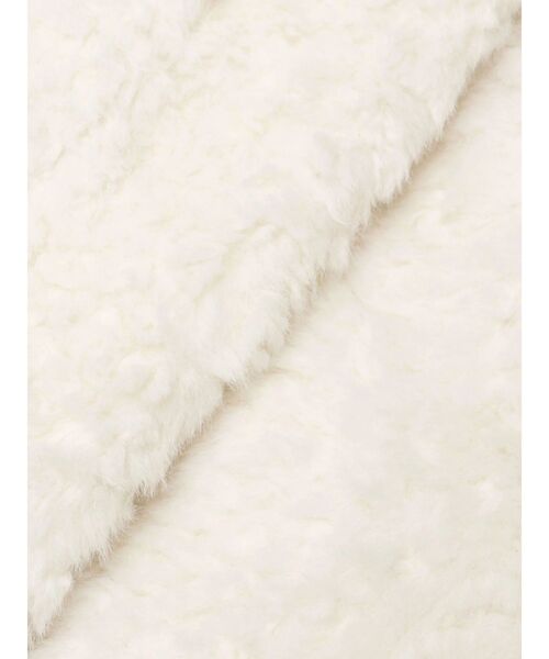 LAGUNAMOON（ラグナムーン）の「ビッグカラーエコファージャケット（その他アウター・レディース・ライトグレー/ホワイト・FREE）」の17枚目の写真