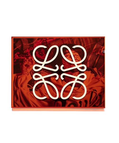 LOEWE（ロエベ）の「オーバーサイズ ショート Tシャツ (コットン)（Tシャツ/カットソー・レディース・ホワイト×グリーン/ブラック系その他/ピンク系その他・S/M/XS）」の5枚目の写真