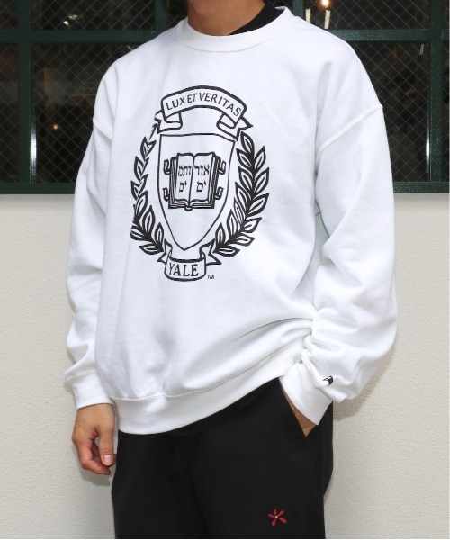 C.E.L.STORE（セルストア）の「SUNNY SPORTS / サニースポーツ YALE PRINTED CREW SWEAT プリントクルーネックスウェット（スウェット・メンズ・ネイビー/ライトグレー/ホワイト・X-LARGE/LARGE/XX-LARGE/MEDIUM）」の5枚目の写真