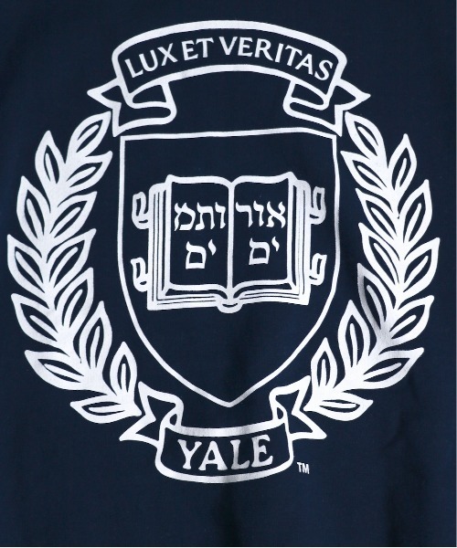 C.E.L.STORE（セルストア）の「SUNNY SPORTS / サニースポーツ YALE PRINTED CREW SWEAT プリントクルーネックスウェット（スウェット・メンズ・ネイビー/ライトグレー/ホワイト・X-LARGE/LARGE/XX-LARGE/MEDIUM）」の21枚目の写真