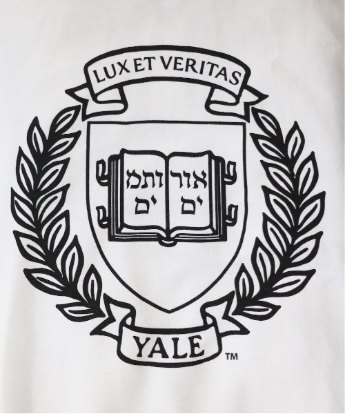C.E.L.STORE（セルストア）の「SUNNY SPORTS / サニースポーツ YALE PRINTED CREW SWEAT プリントクルーネックスウェット（スウェット・メンズ・ネイビー/ライトグレー/ホワイト・X-LARGE/LARGE/XX-LARGE/MEDIUM）」の7枚目の写真