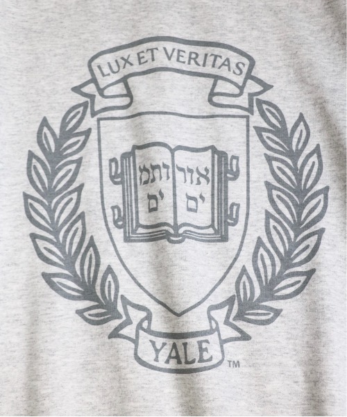 C.E.L.STORE（セルストア）の「SUNNY SPORTS / サニースポーツ YALE PRINTED CREW SWEAT プリントクルーネックスウェット（スウェット・メンズ・ネイビー/ライトグレー/ホワイト・X-LARGE/LARGE/XX-LARGE/MEDIUM）」の13枚目の写真