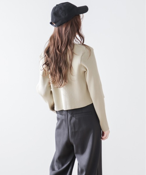 AMELY（エミリー）の「Wジップデザインニット（ニット/セーター・レディース・ピンク/グレイッシュベージュ/ブラック/ラベンダー/イエロー/ベージュ/ブルー・フリー）」の12枚目の写真