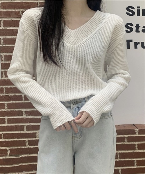 FREE STYLISTS(フリー スタイリスト)の「Vネックニット プルオーバー(ニット/セーター・レディース・ホワイト/チャコールグレー/グレー/モカ・FREE)」の2枚目の写真