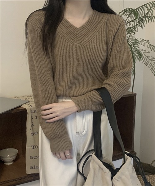 FREE STYLISTS(フリー スタイリスト)の「Vネックニット プルオーバー(ニット/セーター・レディース・ホワイト/チャコールグレー/グレー/モカ・FREE)」の17枚目の写真