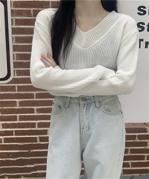 FREE STYLISTS(フリー スタイリスト)の「Vネックニット プルオーバー(ニット/セーター・レディース・ホワイト/チャコールグレー/グレー/モカ・FREE)」の6枚目の写真