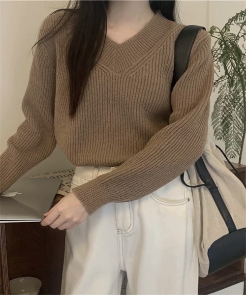 FREE STYLISTS(フリー スタイリスト)の「Vネックニット プルオーバー(ニット/セーター・レディース・ホワイト/チャコールグレー/グレー/モカ・FREE)」の18枚目の写真