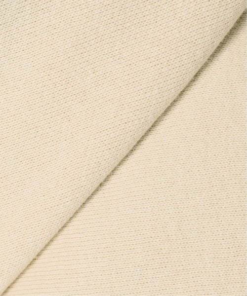 FRAMeWORK(フレームワーク)の「CHAMPION 別注リバースウィーブ11.7ozハーフジップパーカー◆(パーカー・レディース・アイボリー/ブラウン/ブラック・FREE)」の21枚目の写真