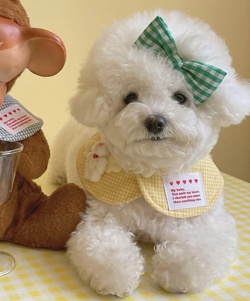 aimoha(アイモハ)の「ペット用スタイ(ペットウェア・レディース・ブルー/ピンク/イエロー/レッド・MEDIUM/SMALL/X-LARGE/LARGE)」の14枚目の写真